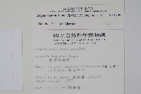 圓果秋海棠藏品圖，第2張