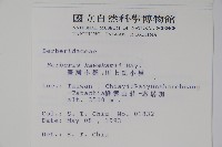 臺灣小蘗藏品圖，第2張