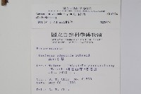 高山小蘗藏品圖，第2張