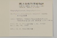 阿里山繁縷藏品圖，第2張