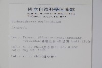 臺灣小蘗藏品圖，第2張