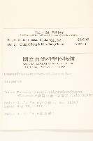 玉山飛蓬藏品圖，第2張