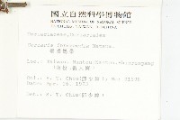 臺灣馬桑藏品圖，第2張