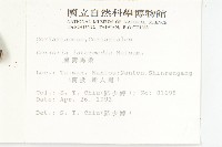 臺灣馬桑藏品圖，第2張