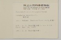 虎婆刺藏品圖，第2張