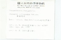 臺灣馬桑藏品圖，第2張