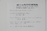 臺灣小蘗藏品圖，第2張