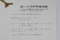 臺灣小蘗藏品圖，第2張