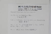 臺灣小蘗藏品圖，第2張