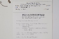 細纍子草藏品圖，第2張