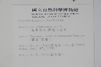 阿里山忍冬、漸尖葉忍冬藏品圖，第2張