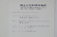 阿里山忍冬、漸尖葉忍冬藏品圖，第2張