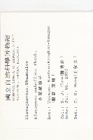 小葉胡頹子藏品圖，第2張