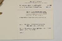 毛將軍藏品圖，第2張