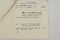 毛將軍藏品圖，第2張