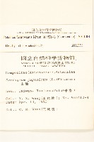 臺灣款冬藏品圖，第2張