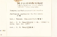 臺灣款冬藏品圖，第2張