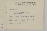 臺灣鬼督郵藏品圖，第2張