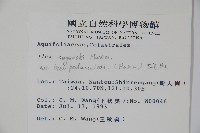 太平山冬青藏品圖，第2張