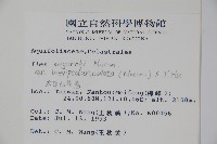 太平山冬青藏品圖，第2張