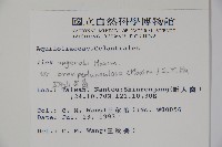 太平山冬青藏品圖，第2張