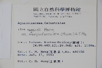 太平山冬青藏品圖，第2張