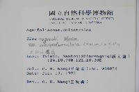 太平山冬青藏品圖，第2張