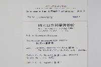 硬齒獼猴桃藏品圖，第2張