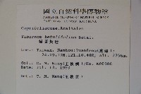 樺葉莢迷、玉山莢迷藏品圖，第2張