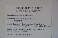 樺葉莢迷、玉山莢迷藏品圖，第2張