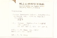 刀傷草藏品圖，第2張