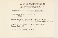 矮菊藏品圖，第2張