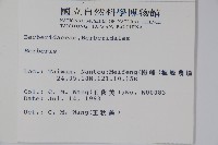 日本小檗藏品圖，第2張