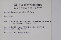 日本小檗藏品圖，第2張