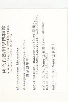 鄧氏胡頹子藏品圖，第2張