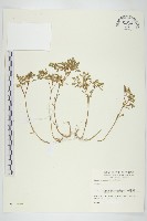 登錄號:S011272藏品圖，第1張