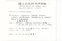 臺灣青莢葉藏品圖，第2張