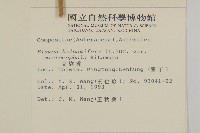 艾納香藏品圖，第2張