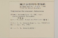 艾納香藏品圖，第2張