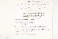 銳葉牽牛藏品圖，第2張