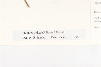 銳葉牽牛藏品圖，第3張