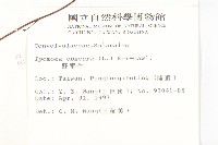 野牽牛藏品圖，第2張