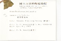 紅花野牽牛藏品圖，第2張