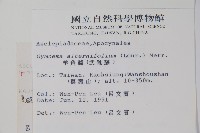 羊角藤、武靴藤藏品圖，第2張