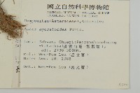 山白蘭藏品圖，第2張