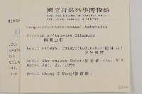 阿里山薊藏品圖，第2張