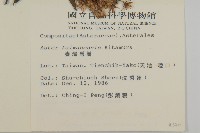 臺灣馬蘭藏品圖，第2張