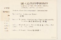 矮菊藏品圖，第2張