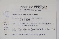 玉山山奶草藏品圖，第2張