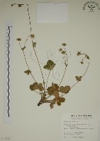 登錄號:S011534藏品圖，第1張